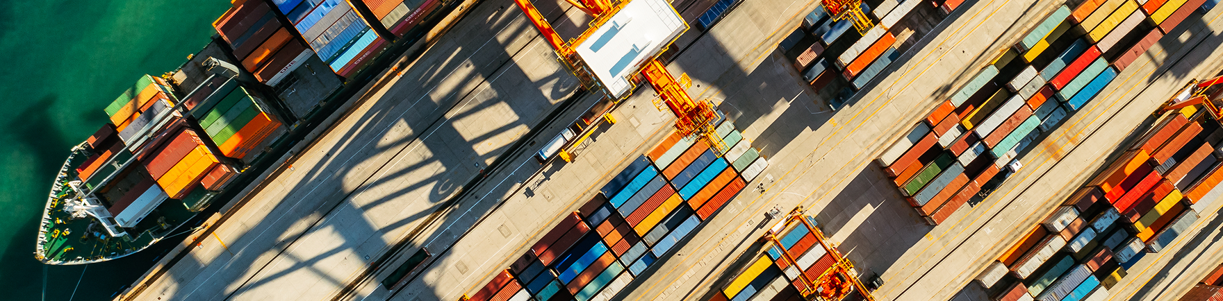 About Traders Of Miami